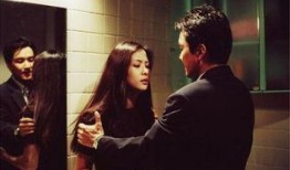 《双重间谍》在线观看,揭秘潜伏与背叛的惊心动魄较量