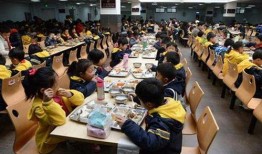 家长爆料食堂视频大全,揭秘校园饮食安全与营养问题
