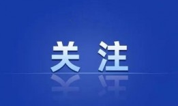 温州神秘爆料案件最新,揭开背后惊人真相