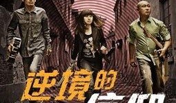 信仰在线观看,揭秘信仰的力量与影响