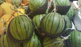 海南吃瓜爆料是真的吗视频,真相揭秘还是网络谣言？