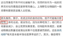 永雄集团员工爆料视频曝光,揭露公司内幕与真相