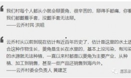 爆料今日视线新闻,揭秘热点事件背后真相