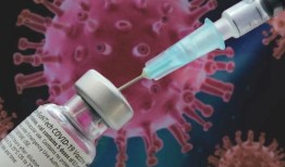 辉瑞前总裁爆料新闻