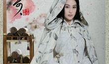 班淑传奇手机在线观看,穿越时空的传奇女性风采再现