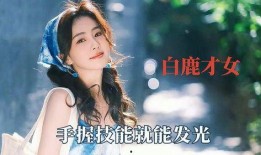 内娱爆料白鹿事件视频,内娱爆料背后的真相