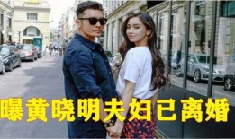 最新爆料明星离婚案,当红明星离婚案引发热议