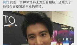爆料王力宏视频在线观看,揭秘明星背后的真实生活
