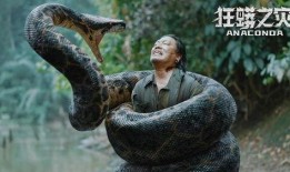 狂蟒之灾1在线观看,惊悚丛林，巨蟒肆虐