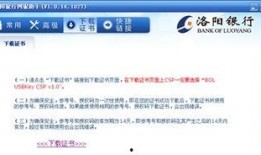 洛阳银行爆料案件最新情况,案情揭秘与调查进展披露