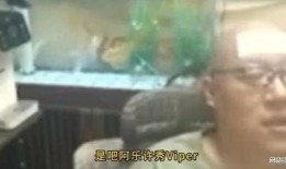 老岳爆料四强视频播放,老岳爆料视频播放背后的精彩瞬间
