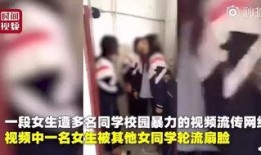 棍儿哥视频爆料大全,揭秘幕后真相与精彩瞬间