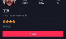 爆料北京博主视频大全下载