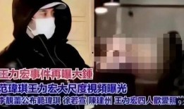 爆料王力宏视频在线观看,揭秘明星背后的真实生活