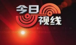 爆料今日视线新闻,揭秘热点事件背后真相