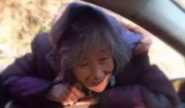 慈母在线观看,温情演绎母爱如山的故事