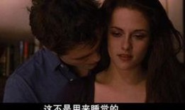 欧美爱片视频在线观看,在线观看，激情四溢的视觉盛宴