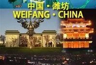 临沂都市爆料事件视频,揭秘事件背后真相