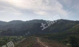 广西土地爆料最新消息,最新爆料揭示土地交易新趋势