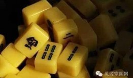 麻将配料爆料视频大全图解,图解爆料视频大全解析