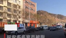 延安爆料视频,真实事件引发社会关注