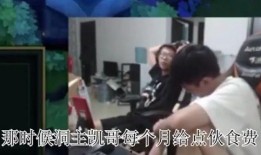 飞哥爆料蛋叔视频全集,蛋叔视频全集深度解析