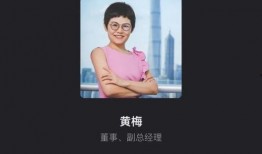 爆料黄梅琳琳视频,揭秘娱乐圈不为人知的秘密