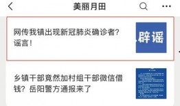 岳阳新闻网爆料热线官网,倾听民声，守护正义的桥梁