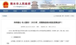 衡水最近爆料视频,揭秘校园内幕，真相令人震惊！