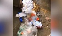 弃婴的视频在线观看,人性的悲歌与社会的反思