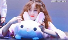 李美珠被宋雨琦爆料视频,视频曝光引发热议