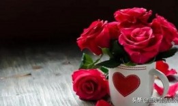 青岛玫瑰花爆料案件最新