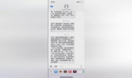 最后的棒棒河南爆料视频,棒棒河南爆料视频背后的真相与启示