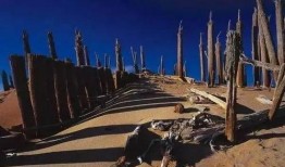 新疆罗布泊事件爆料视频,真相与传闻交织