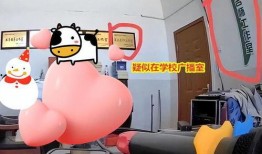 男子爆料体校视频播放,男子揭露惊人内幕