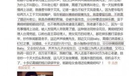 最新爆料明星离婚案,当红明星离婚案引发热议