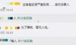 家长爆料食堂视频大全,揭秘校园饮食安全与营养问题
