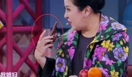 向太爆料儿媳妇是谁啊视频,儿媳妇身份大公开！