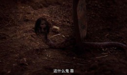 美女蛇电影在线观看,惊悚奇幻之旅——在线观看，揭秘神秘传说