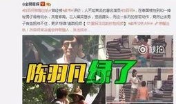 爆料赵辰宇出轨视频,真相背后引发热议