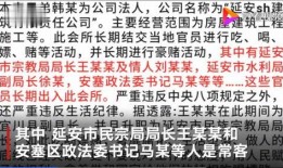 延安爆料视频,真实事件引发社会关注