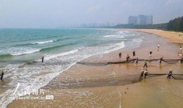 海南赶海爆料事件视频完整版,揭秘真实海滩奇观与生态挑战