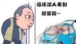 电动轿车事件最新爆料,最新爆料揭露惊人内幕