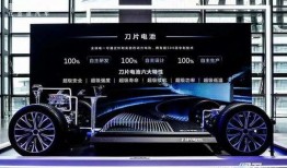 比亚迪电池爆料事件视频,揭秘电池技术争议与市场影响