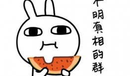 带你做免费副业买瓜吃,轻松实现买瓜自由