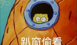 派大星娱乐爆料视频,最新爆料视频幕后故事