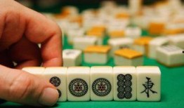 麻将配料爆料视频大全图解,图解爆料视频大全解析