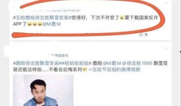 热搜的爆料视频有哪些,揭秘网络热点背后的真相与争议