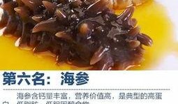 即食海参爆料视频下载,从爆料视频看行业真相与消费者选择