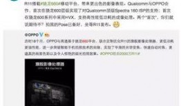 博士内鬼爆料视频大全,揭秘科研界的真实内幕